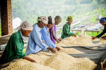 Leverage agile frameworks to provide