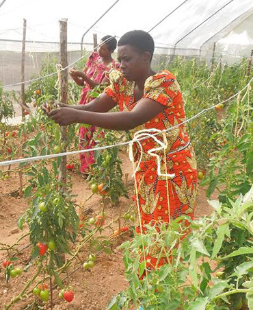 Women Agripreneur Empowerment Program