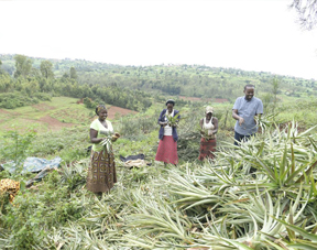 Circular Farming Demonstration Sites