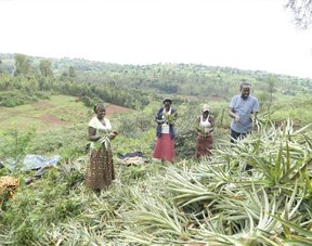 Circular Farming Demonstration Sites